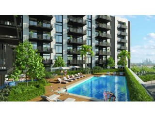 Rosemont Residences for Sale in Jumeirah Village Triangle, Dubai