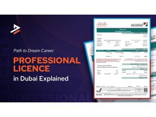 how-to-get-a-professional-license-in-dubai-small-0