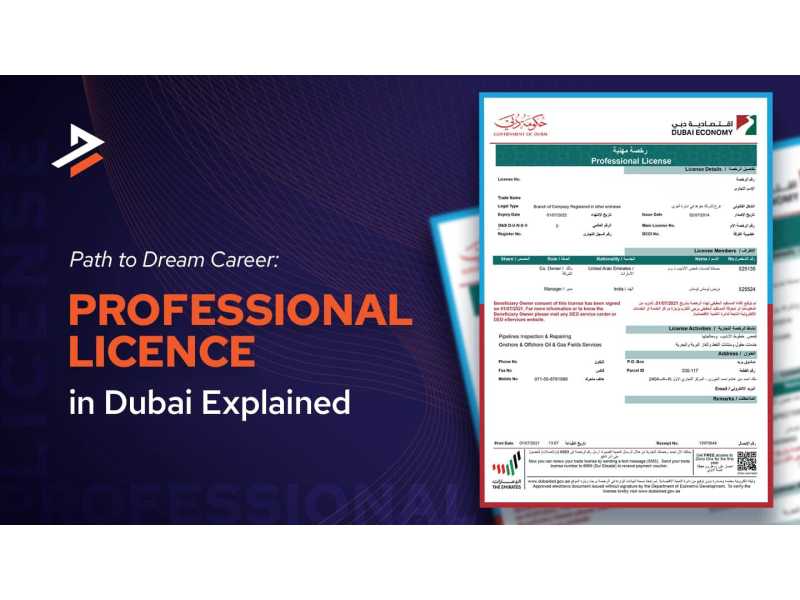 how-to-get-a-professional-license-in-dubai-small-0