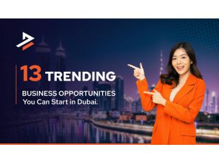 top-13-business-opportunities-in-dubai-small-0