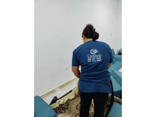 cleaning-company-small-0