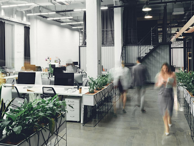 get-noticed-online-with-a-website-designer-brisbane-loves