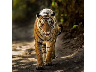 unveil-india-curated-tour-packages-for-budget-friendly-small-4