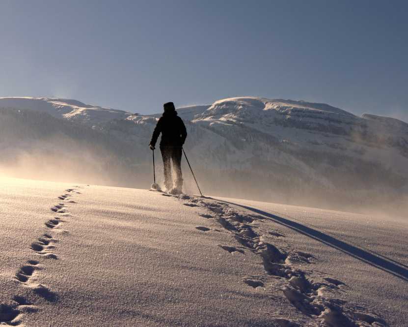 embark-the-beauty-of-trekking-the-majestic-himalayas