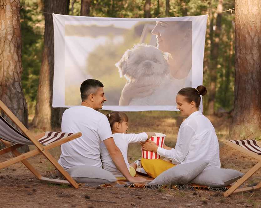 premium-outdoor-movie-hire-in-sydney-beyond-make-night-memorable