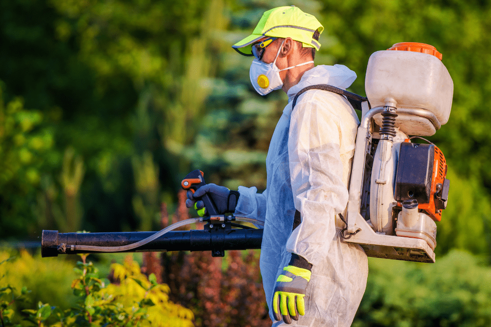 why-tree-care-services-are-essential-for-strata-buildings-big-0