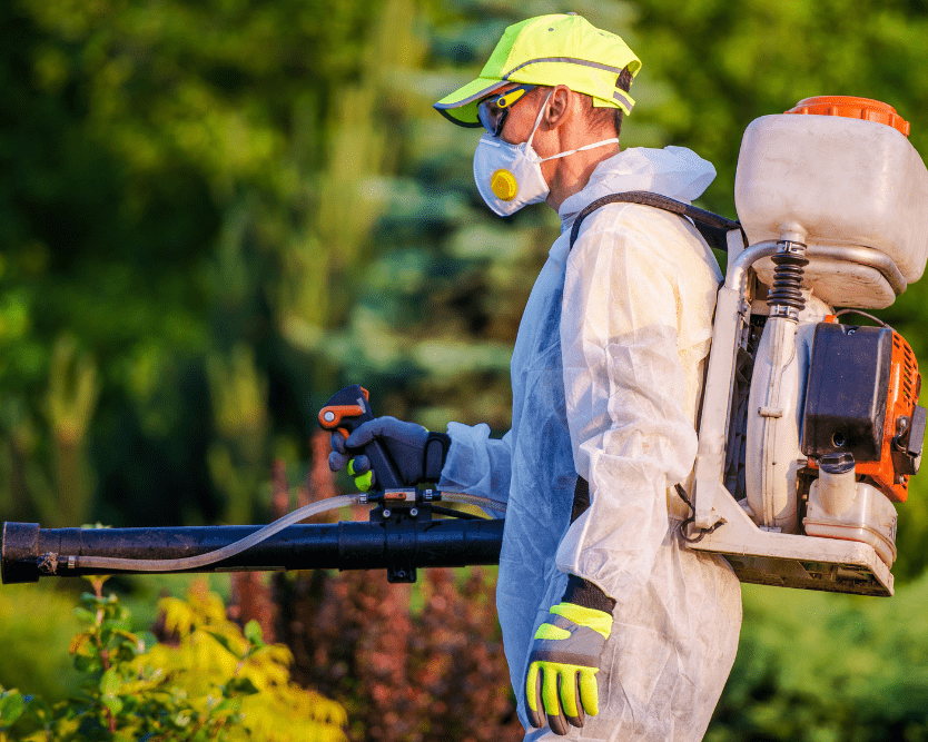 why-tree-care-services-are-essential-for-strata-buildings
