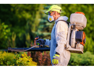 why-tree-care-services-are-essential-for-strata-buildings-small-0