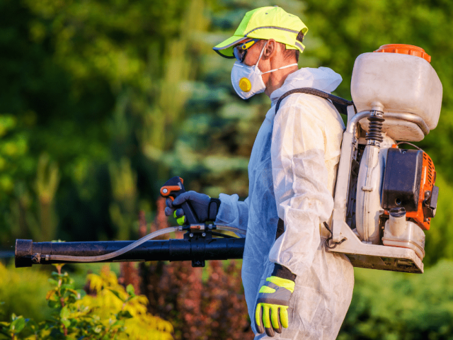 why-tree-care-services-are-essential-for-strata-buildings