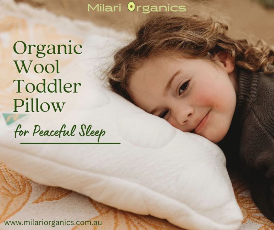 handcrafted-australian-organic-wool-pillow-for-toddlers-big-0