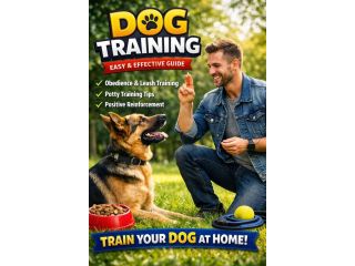 brain-training-for-dogs-unique-dog-training-course-small-2