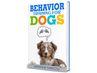 brain-training-for-dogs-unique-dog-training-course-small-1