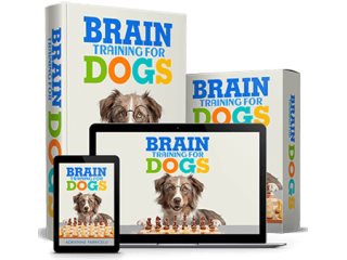 brain-training-for-dogs-unique-dog-training-course-small-0