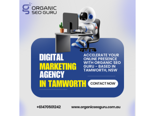 digital-marketing-tamworth-organic-seo-guru-small-0