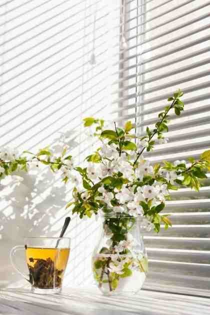 upgrade-your-home-with-honeycomb-blinds-adelaide-big-0