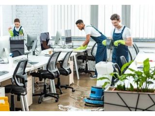 professional-office-cleaning-services-clovelly-park-small-2