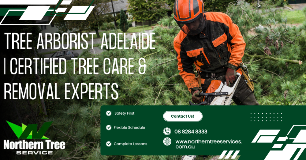 tree-arborist-adelaide-certified-tree-care-removal-experts-big-0