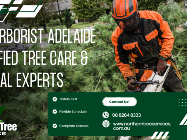 tree-arborist-adelaide-certified-tree-care-removal-experts