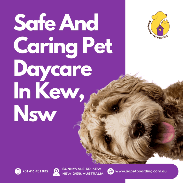 safe-and-caring-pet-daycare-in-kew-nsw-big-0