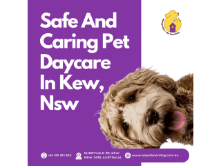 safe-and-caring-pet-daycare-in-kew-nsw-small-0