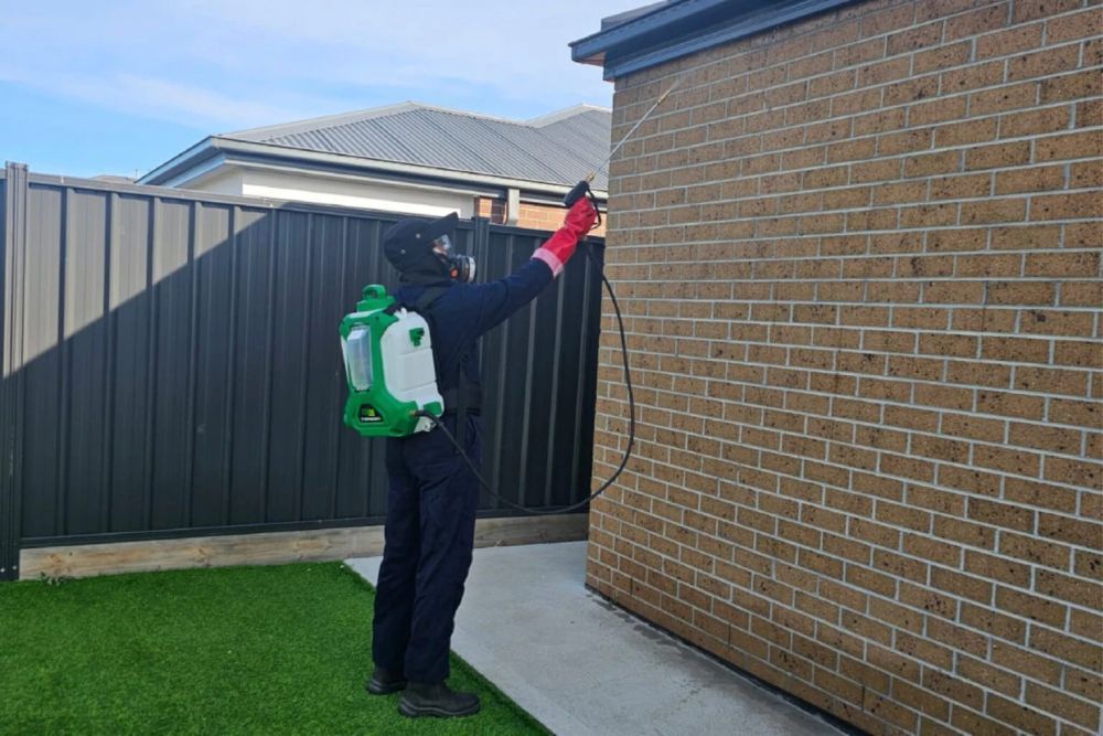why-is-pest-control-in-melbourne-essential-for-every-home-big-0