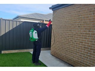 why-is-pest-control-in-melbourne-essential-for-every-home-small-0