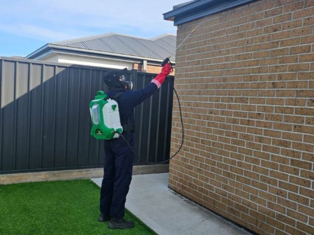 why-is-pest-control-in-melbourne-essential-for-every-home