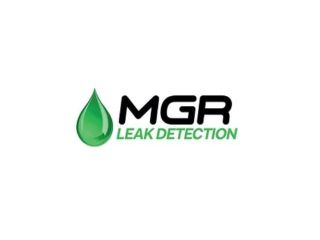mgr-leak-detection-small-0