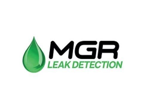 mgr-leak-detection