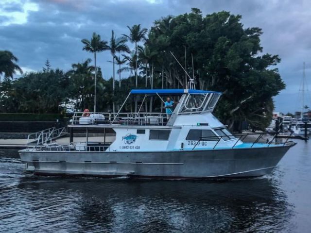 fishing-charters-qld-paradisefishing-charters