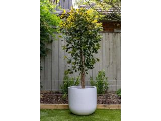 elegant-artificial-bamboo-for-calm-indoor-spaces-small-0