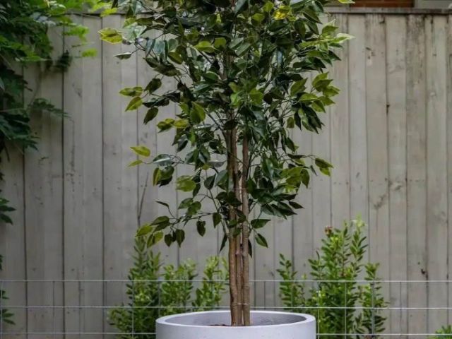 elegant-artificial-bamboo-for-calm-indoor-spaces