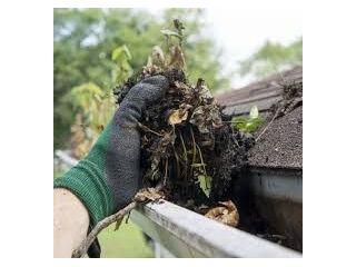 best-service-for-gutter-cleaning-in-bracken-ridge-small-0