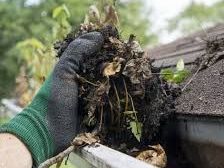 best-service-for-gutter-cleaning-in-bracken-ridge