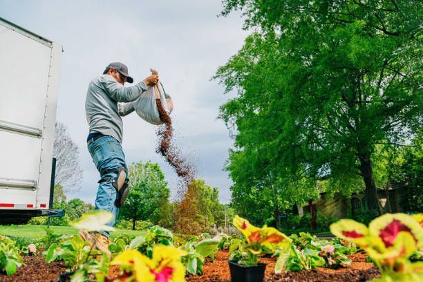new-driveway-and-landscaping-services-in-tallawong-big-1