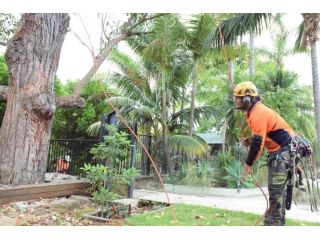 fast-storm-tree-removal-call-sydney-recovery-team-now-small-0