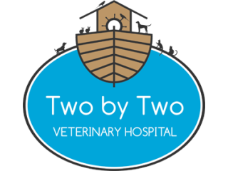 vet-in-manly-professional-veterinary-care-for-pets-small-0