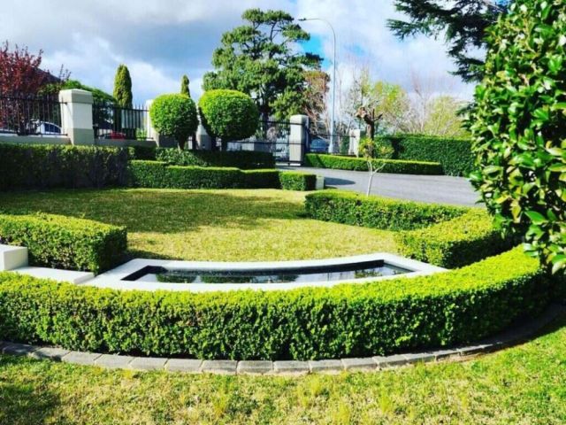 who-is-a-horticulturist-and-what-do-they-do