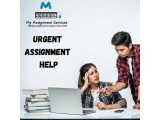 urgent-assignment-help-fast-reliable-academic-support-small-0