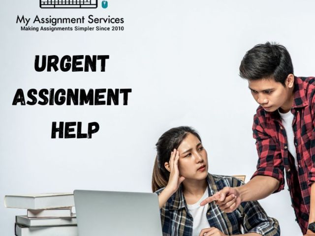 urgent-assignment-help-fast-reliable-academic-support