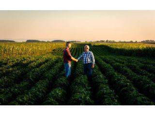 protect-the-heritage-with-strategic-farm-succession-planning-small-0