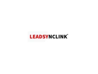 leadsynclink-small-0
