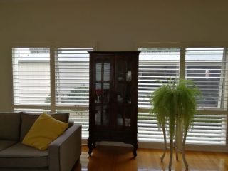 shutterwise-small-1