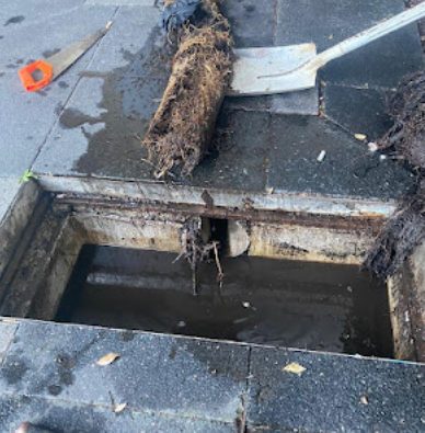 best-blocked-drains-service-in-miranda-big-0
