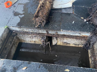 best-blocked-drains-service-in-miranda
