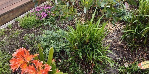 landscape-horticulture-solutions-for-modern-outdoor-spaces-big-0