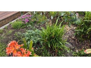 landscape-horticulture-solutions-for-modern-outdoor-spaces-small-0