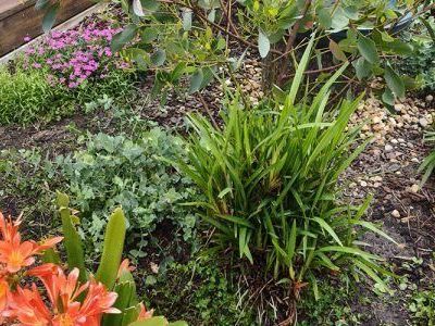 landscape-horticulture-solutions-for-modern-outdoor-spaces