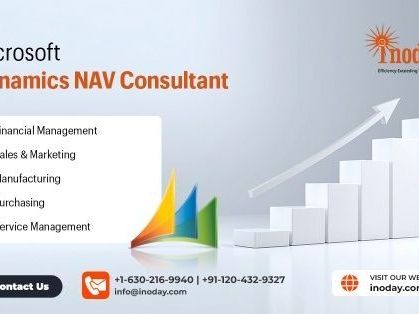 best-support-from-dynamics-nav-services-provider-firm