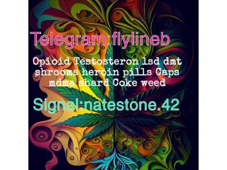 signal-id-natestone42-melbourne-green-cold-small-0